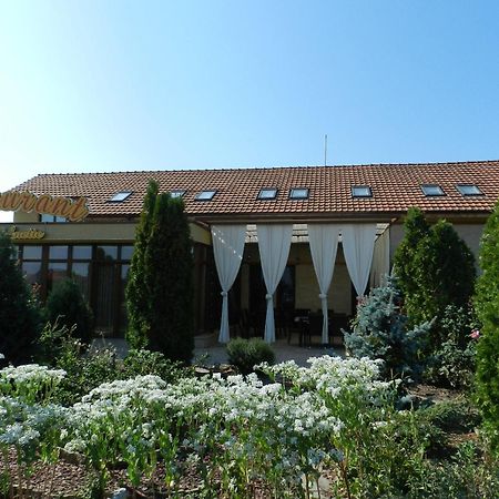 Covaci Anette Resort & Spa מראה חיצוני תמונה